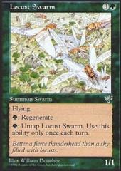 Locust Swarm