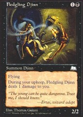 Fledgling Djinn