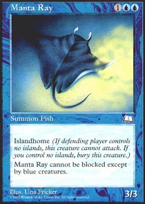 Manta Ray