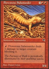 Flowstone Salamander