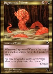 Segmented Wurm