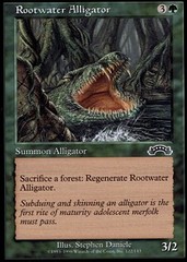 Rootwater Alligator