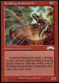 Scalding Salamander