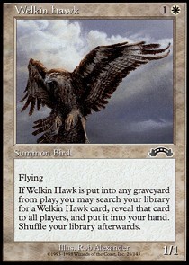 Welkin Hawk