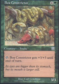 Boa Constrictor