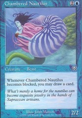 Chambered Nautilus