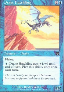 Drake Hatchling