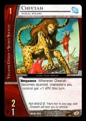 Cheetah, Feral Feline