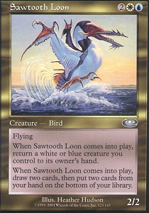 Sawtooth Loon