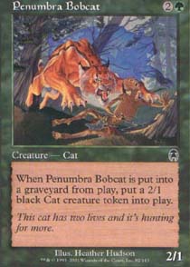 Penumbra Bobcat