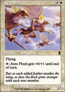 Aven Flock