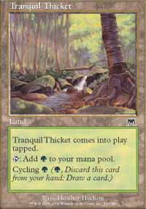 Tranquil Thicket