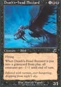 Deaths-Head Buzzard