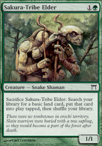 Sakura-Tribe Elder