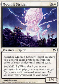 Moonlit Strider