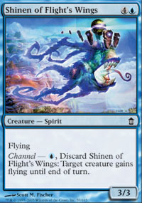 Shinen of Flights Wings