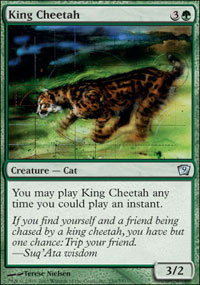 King Cheetah