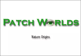 Patch Worlds
