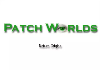 Patch Worlds