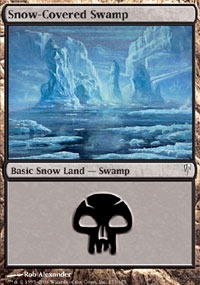 Snow-Covered Swamp