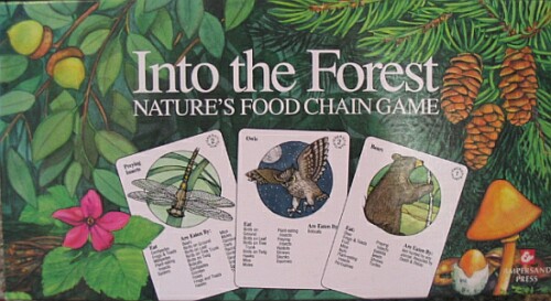 Into the Forest