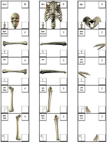 Bone Barter