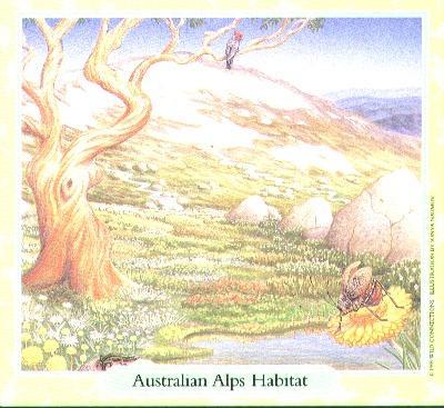 Australian Menagerie - Australian Alps Expansion