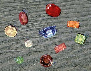 Jewels in the Sand