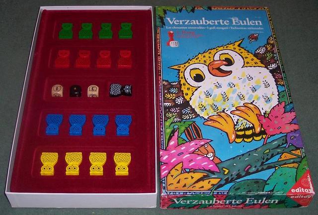 Enchanted Owl