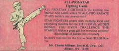 All-Pro-Star Fighting