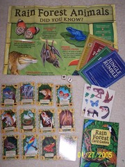 Rain Forest Card Games