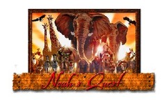 Noah's Quest