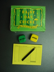 Rainy Day Cricket