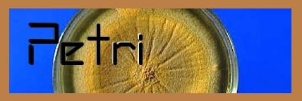 Petri (1)