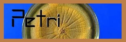 Petri (1)