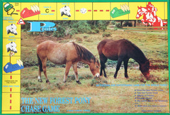 Ponies - The New Forest Pony Chase Game