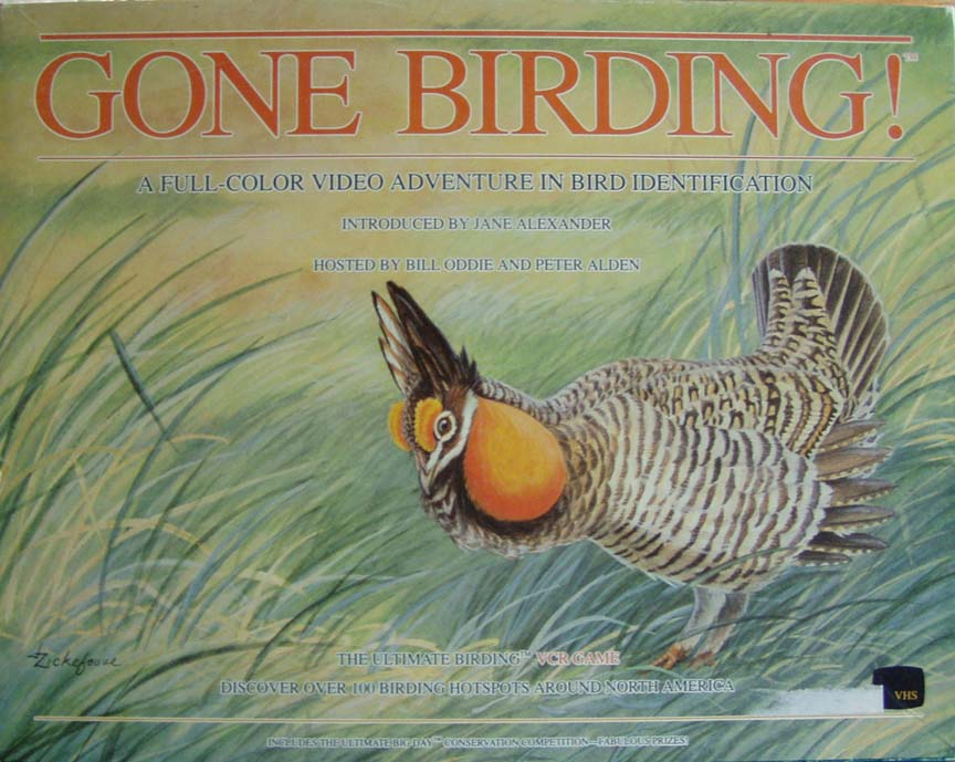 Gone Birding!