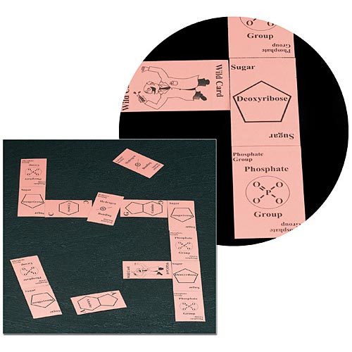 How To Build a Nucleotide