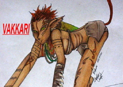 Vakkari