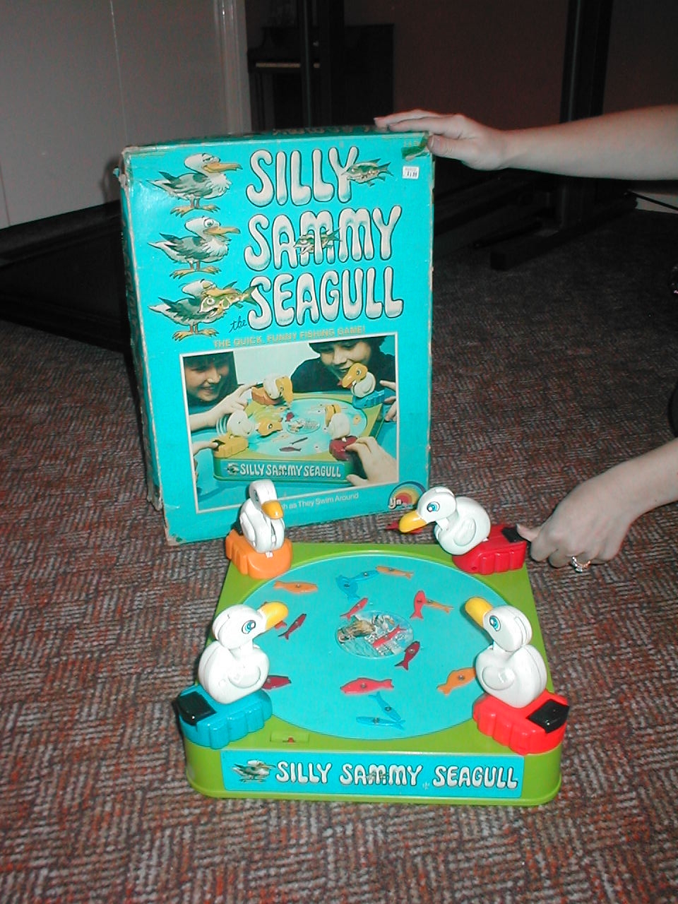 Silly Sammy Seagull
