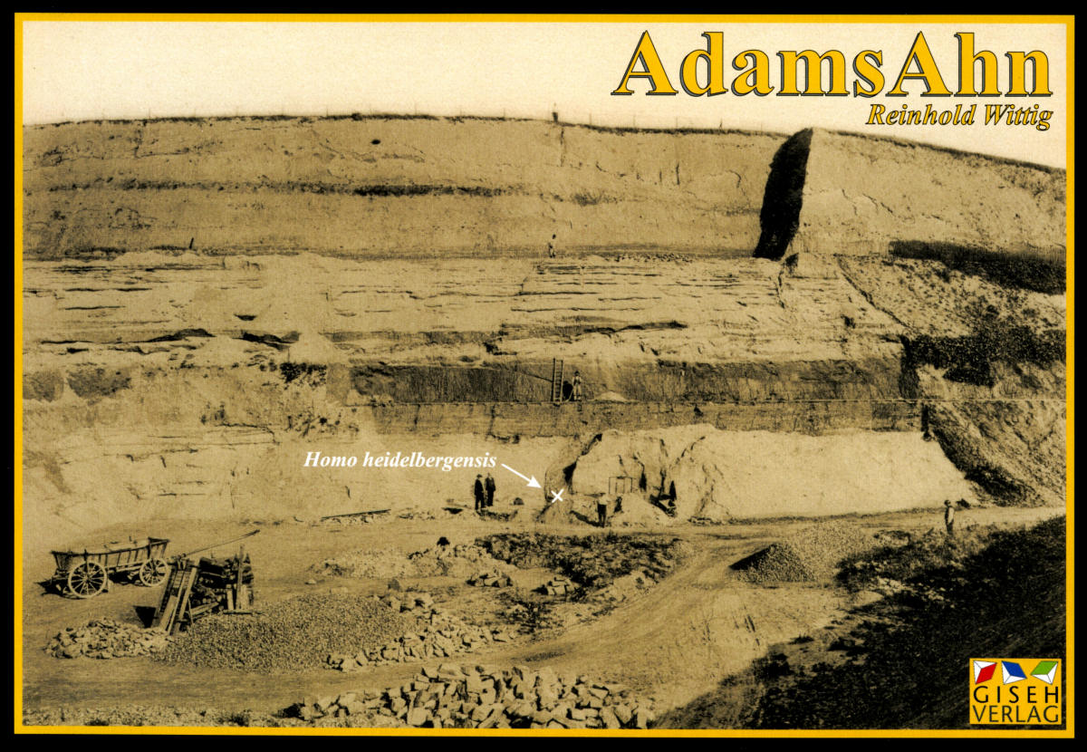 Adams Ahn