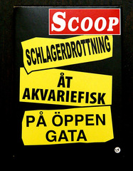 Scoop