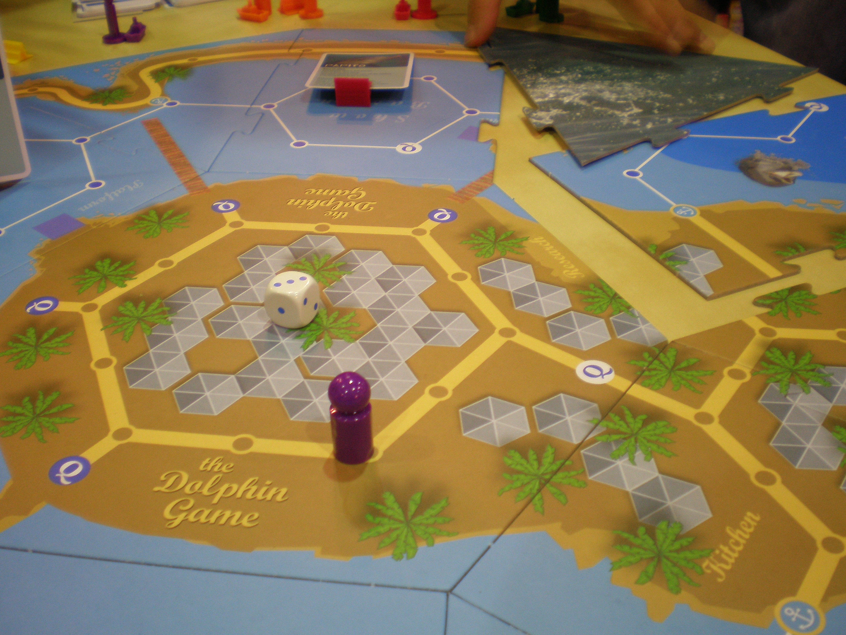 The Dolphin Training Game