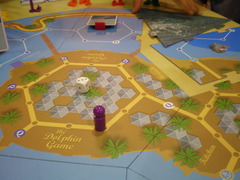 The Dolphin Training Game