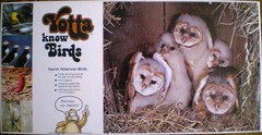 Yotta Know Birds