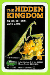 The Hidden Kingdom