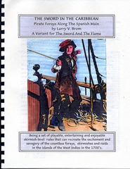 The Sword in the Caribbean - Pirate Forays Along The Spanish Main