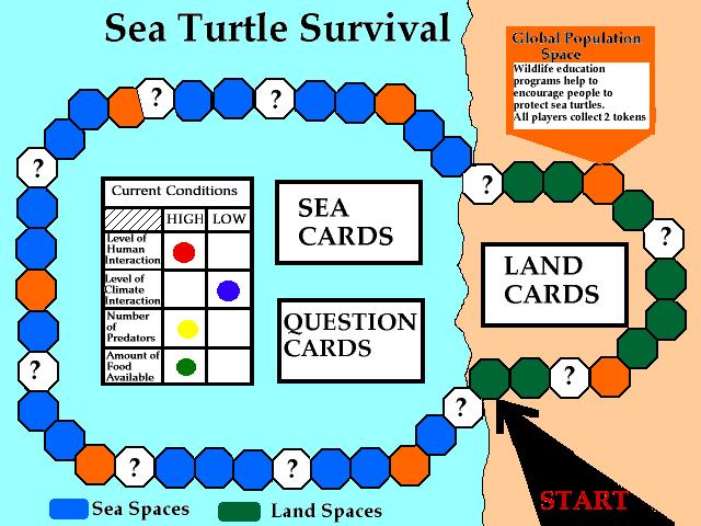 Sea Turtle Survival