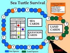 Sea Turtle Survival