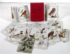The Game of Birds